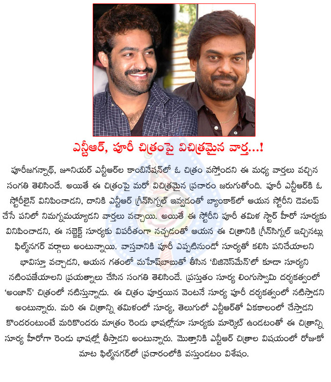 jr ntr,puri jagannadh,another sensational comments on jr ntr and puri jagannadh movie,jr ntr,young tiger ntr,surya,surya hero,telugu and tamil versions,puri jagannadh next movie updates  jr ntr, puri jagannadh, another sensational comments on jr ntr and puri jagannadh movie, jr ntr, young tiger ntr, surya, surya hero, telugu and tamil versions, puri jagannadh next movie updates